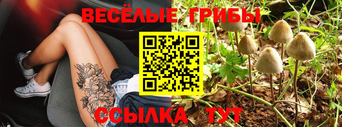 Псилоцибиновые грибы мухоморы Славгород